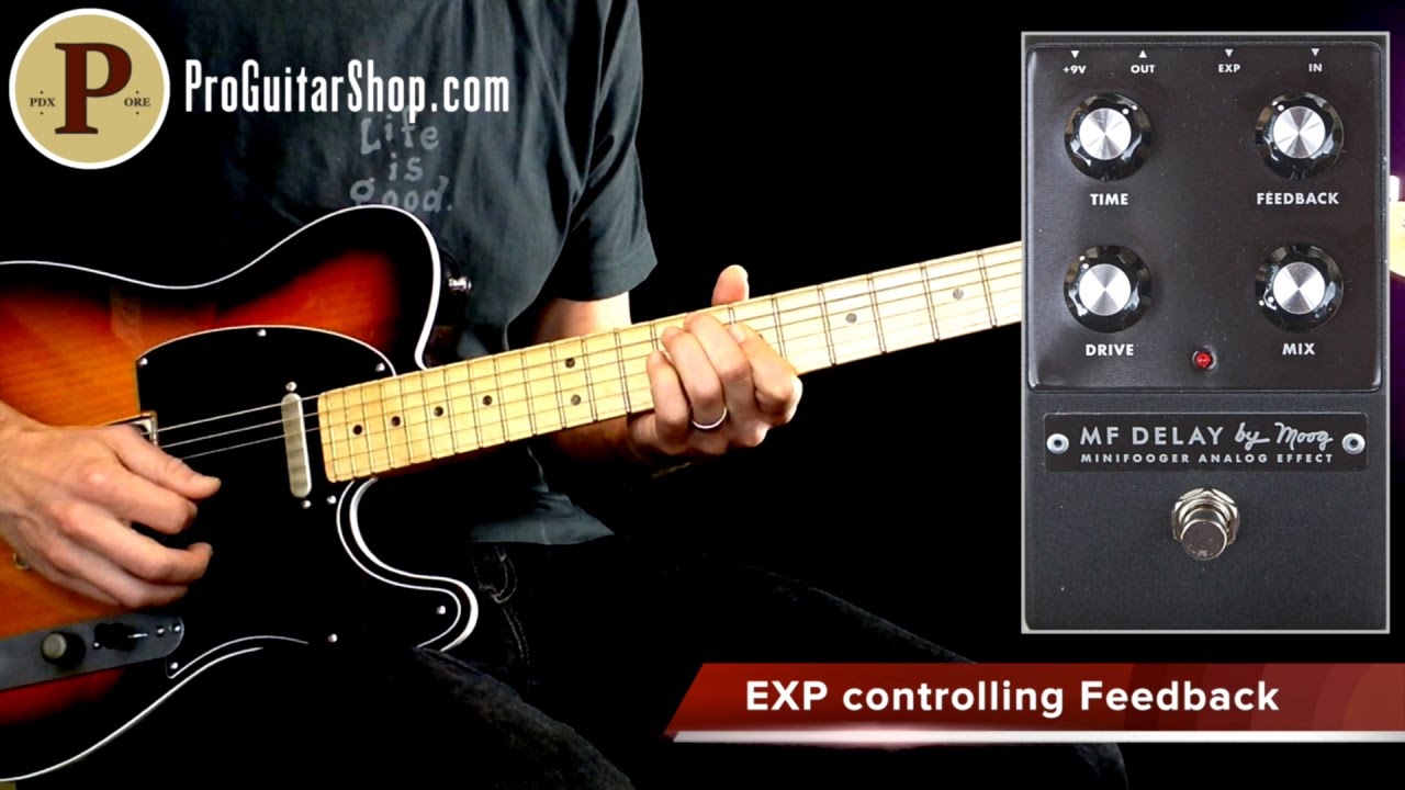 Moog MF Delay