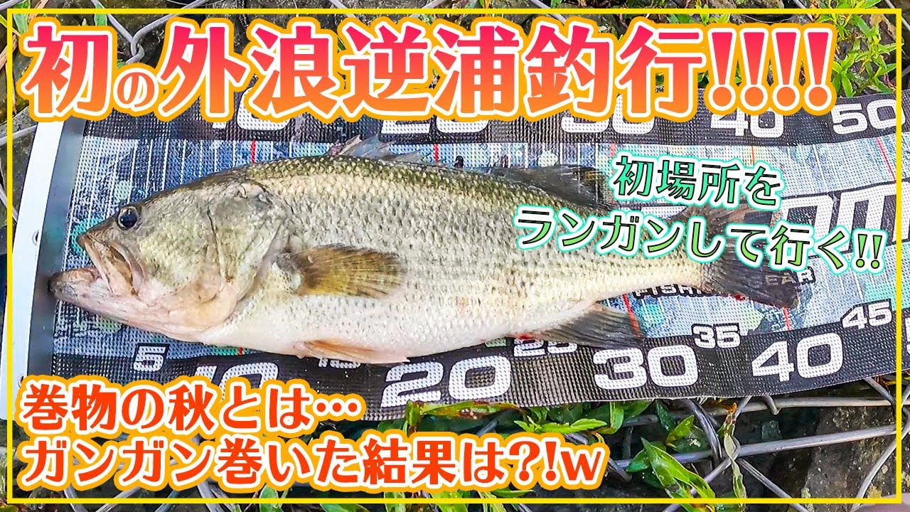 初の外浪逆浦釣行で40up登場！初場所をランガンして行く！【霞水系】