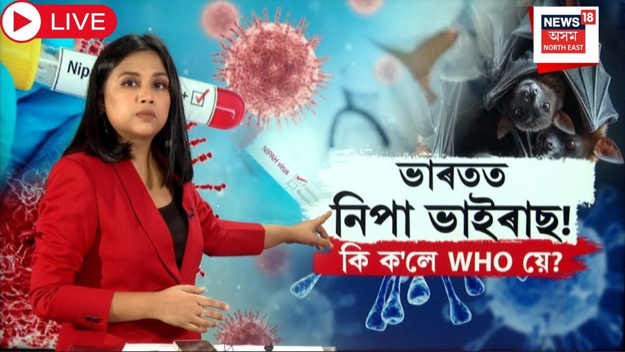 Live : Nipah Virus Outbreaks in India |ভাৰতত নিপা ভাইৰাছৰ সংক্ৰমণক লৈ বৃদ্ধি পাইছে উদ্বিগ্নতা | N18L