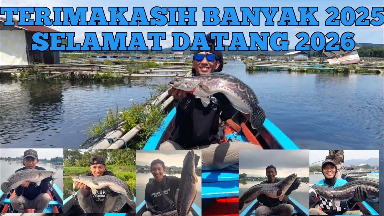 Moment strike heboh saat mancing casting toman di waduk saguling#mancing#casting