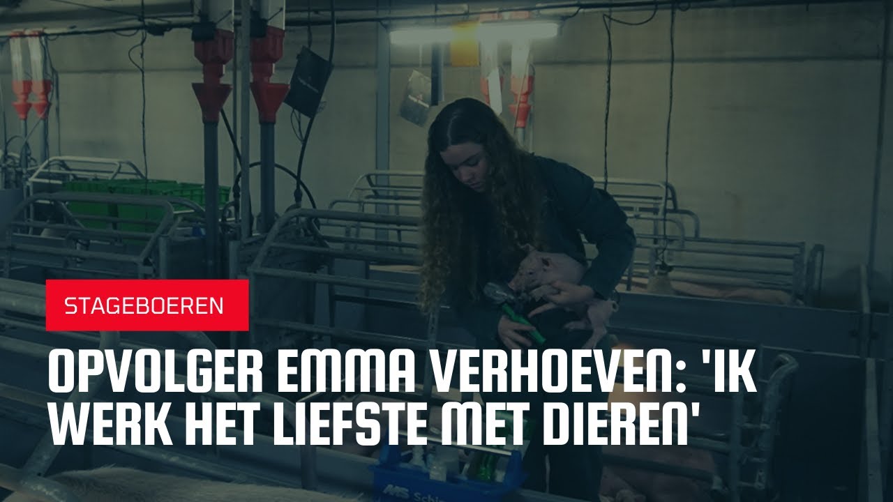 Opvolger Emma Verhoeven: 'Ik werk het liefste met dieren' #stageboer
