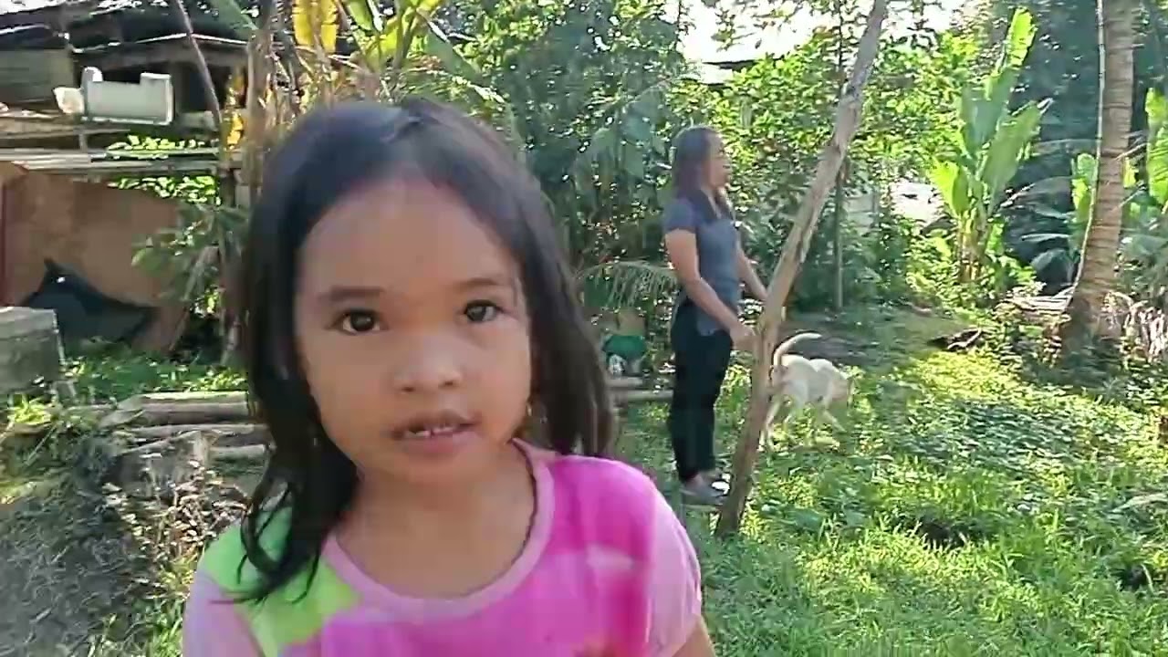 Magkuha sa me ug kahoy 
