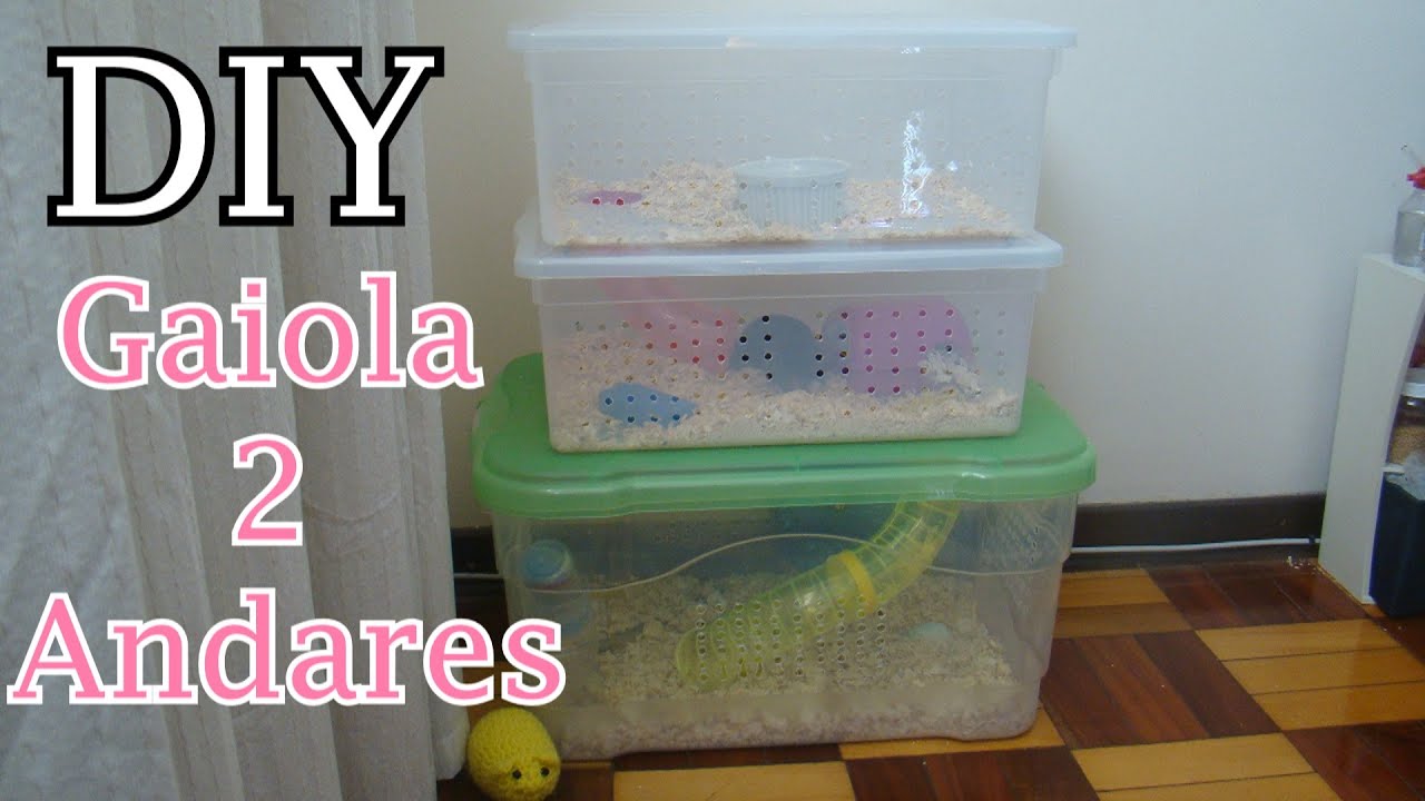 DIY - Gaiola caseira de dois andares