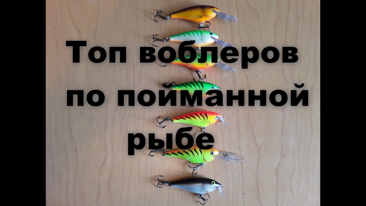 Топ воблеров по объему пойманной рыбы