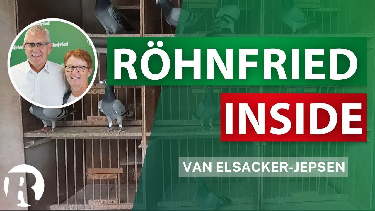 Röhnfried Inside bei Serge van Elsacker