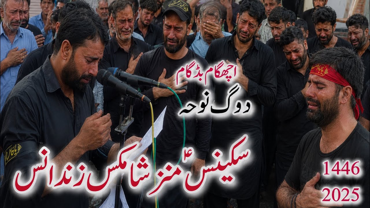 Kya banethi Aaov sakeenas mazi shamkis Zindaans||Ali mohammad ichgam2025_1447