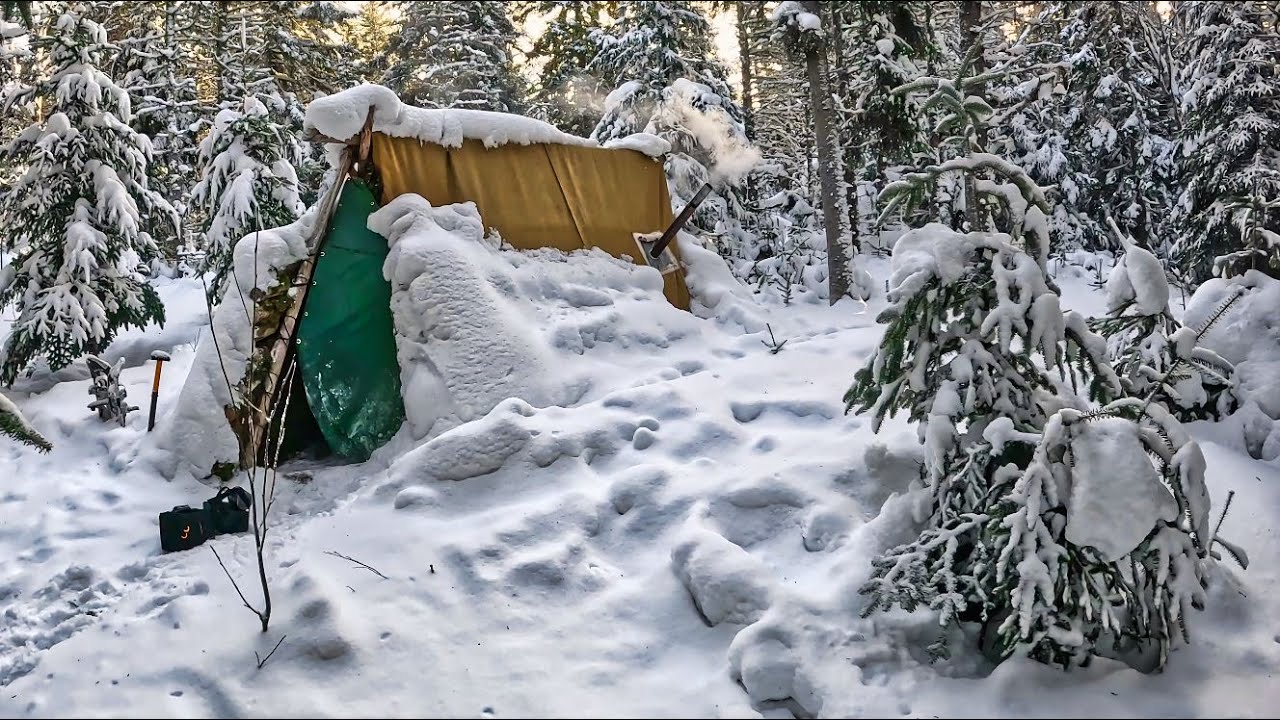 5 Days of Winter Camping - Clearing Hazardous Dead Standing Trees