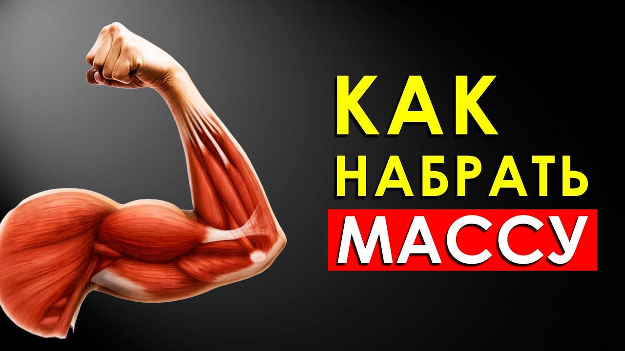 Как Быстро и Качественно Набрать Мышечную Массу?