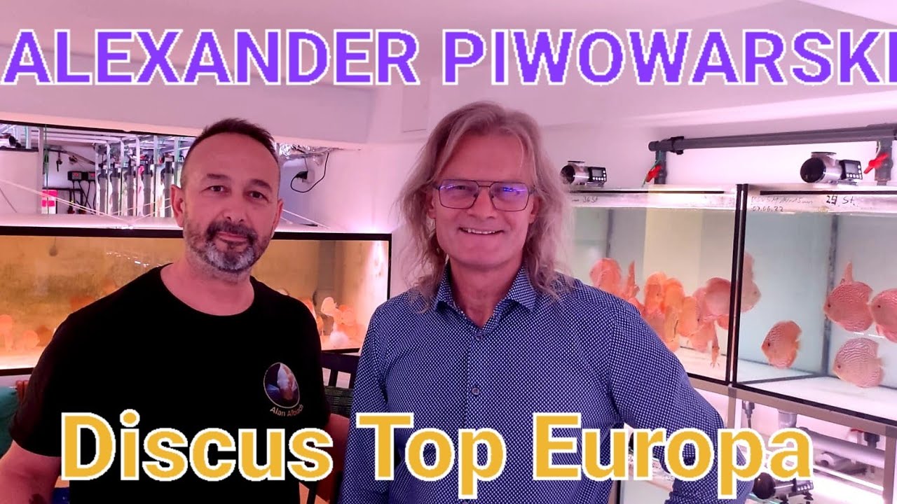 ALEXANDER PIWOWARSKI DISCUS | Diskuszucht