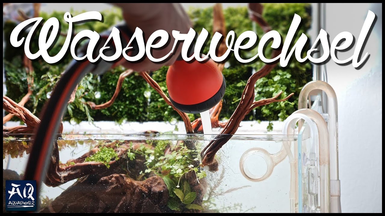 Wasserwechsel leicht gemacht | AquaOwner