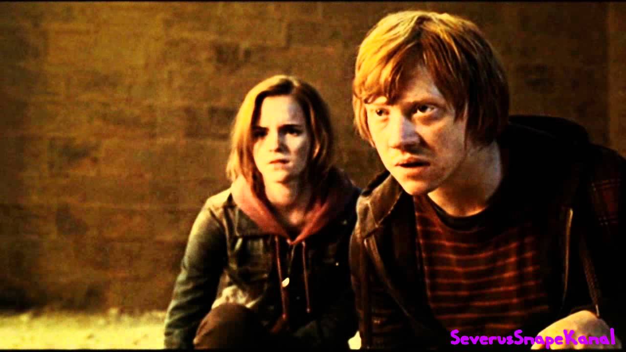 Ron and Hermione II Boyfriend