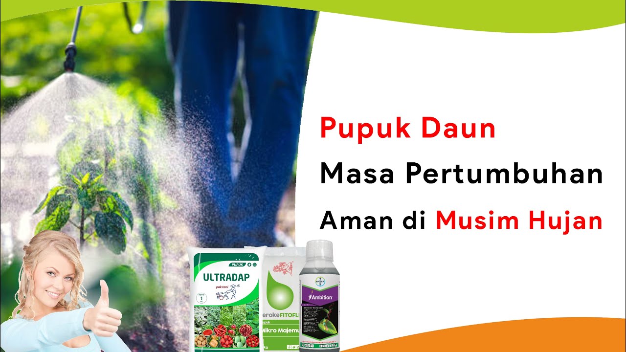 Pupuk Daun Masa Pertumbuhan Paling Aman Musim Hujan