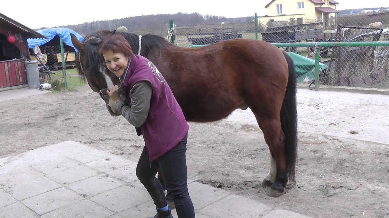 2014-03-23 Masaż Zefira