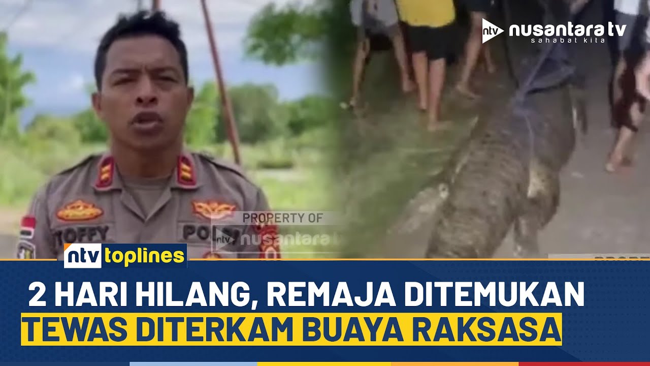 Tragis! Remaja di Wetar Tewas Diterkam Buaya Raksasa Saat Mandi di Sungai | NTV TOPLINES