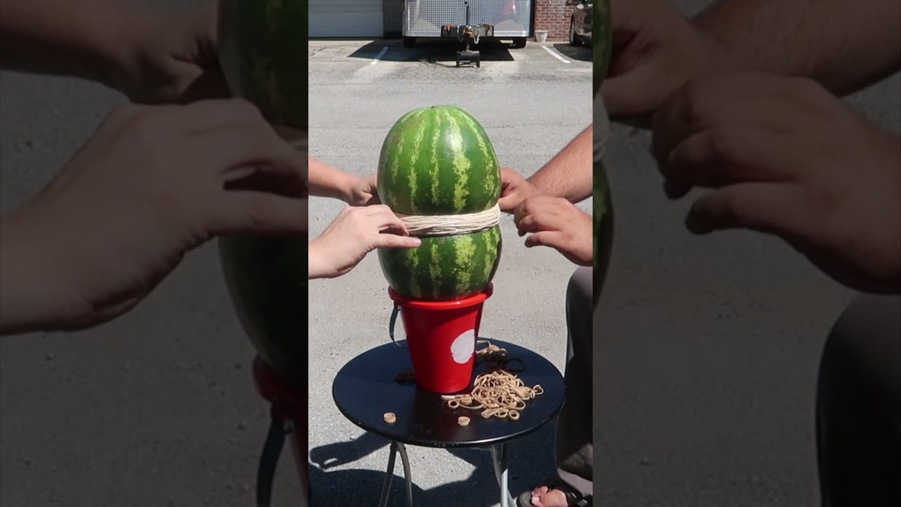 1000 Rubberbands VS Watermelon 😳