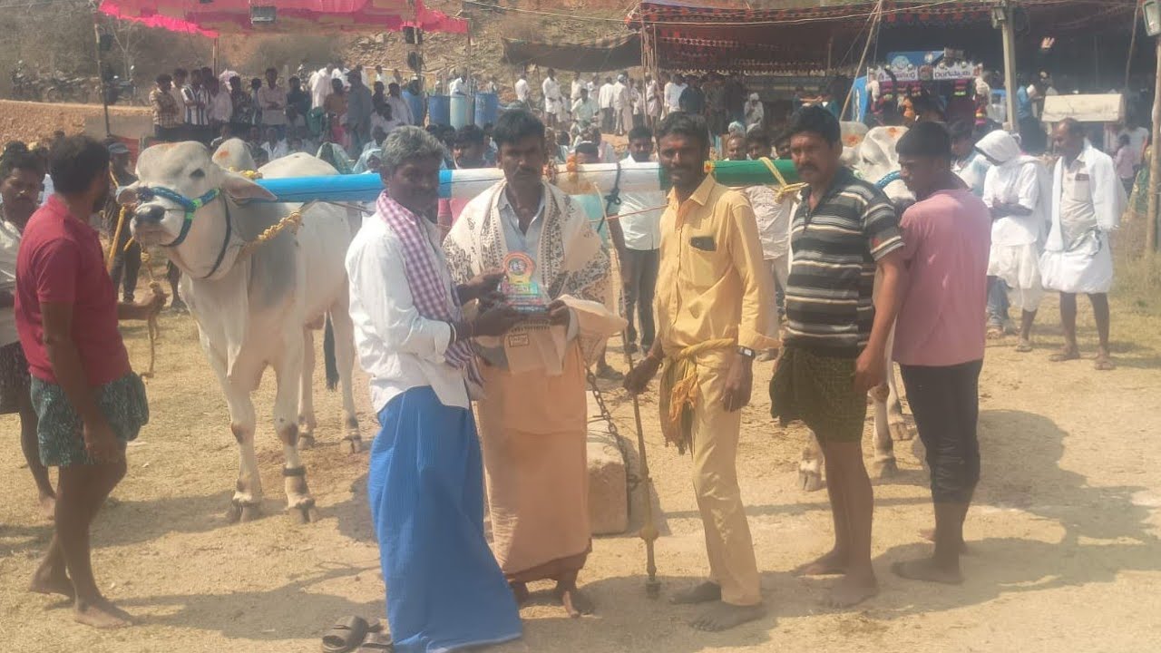 ఆవుల పోలి రెడ్డి 2 పళ్ళు తిప్పాయపాలెం 2026