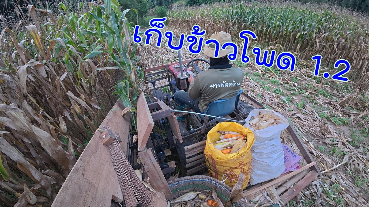 รถไถดัดแปลงเก็บข้าวโพด 1.2