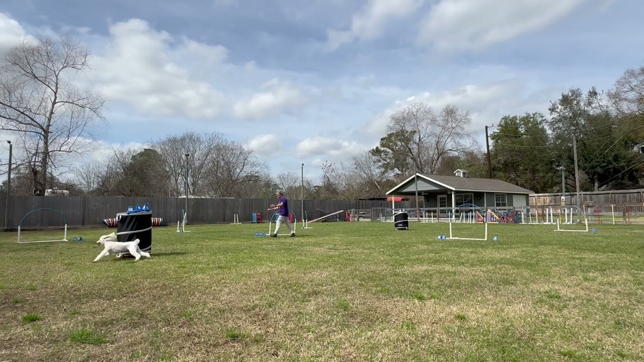 Blast, Elite Grounders, Happy, Round 2, 2/17/26
