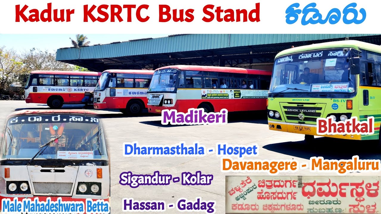 ಕಡೂರು Kadur KSRTC Bus Stand| Hubballi, Sigandur, Kolar, MM Hills, Mysuru, Bhatkal #bus #volvo #ksrtc