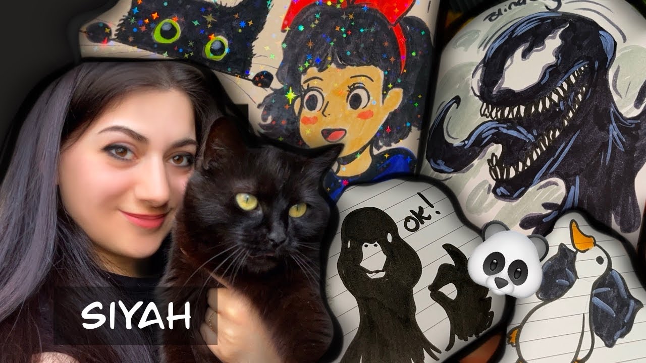 BİR GÜN SADECE SİYAH! 🐼🐈‍⬛🦨 #squishy #vlog #diy yapımı