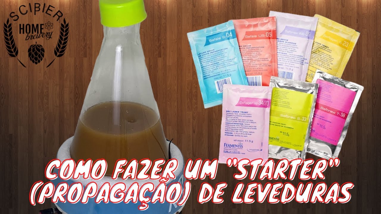Como fazer um starter/propagação de leveduras