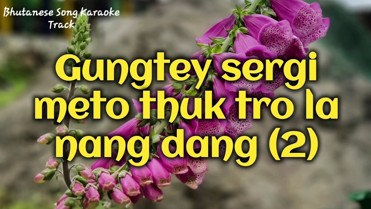 Gungtey sergi meto [vocal off] | bhutanese karaoke song with lyrics