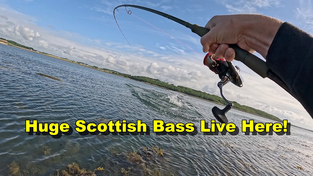Sea Fishing Scotland - I Caught a GIANT BASS on my First Try!