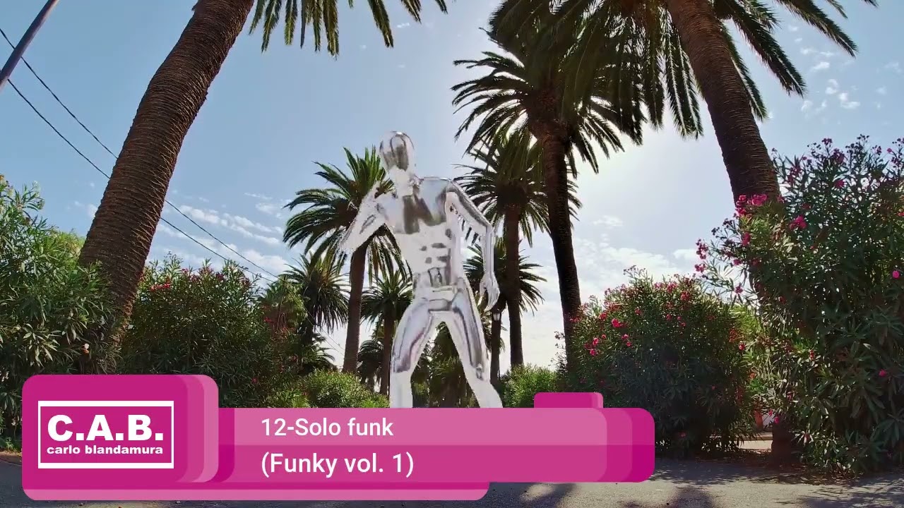 12-Solo funk (Funky vol. 1) 12-Solo funk