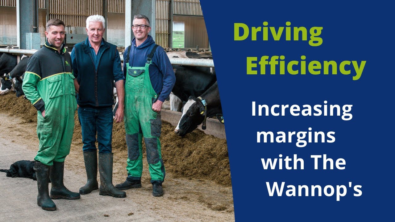 Driving profit on dairy farmers by increasing your margin over purchased feed | ForFarmers