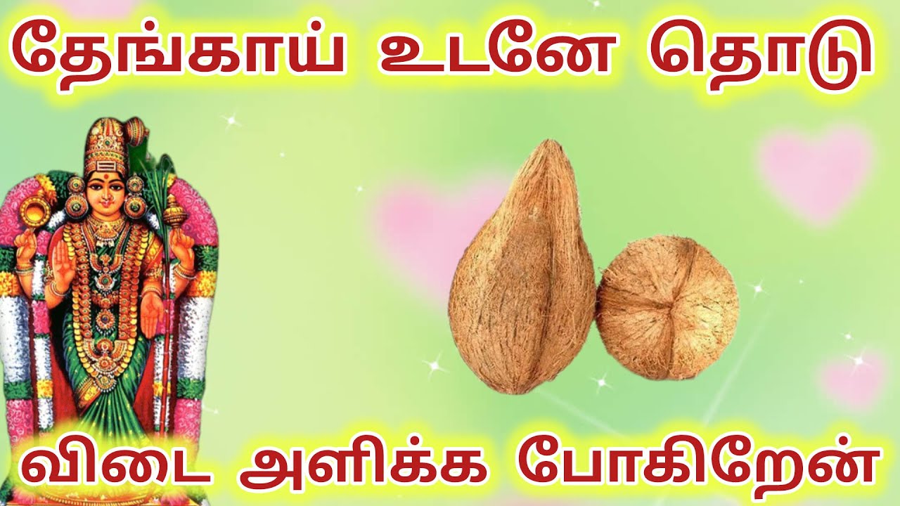 தேங்காய் உடனே தொடு விடை அளிக்க போகிறேன் #meenakshi #amman #deivam #maduraimeenakshi