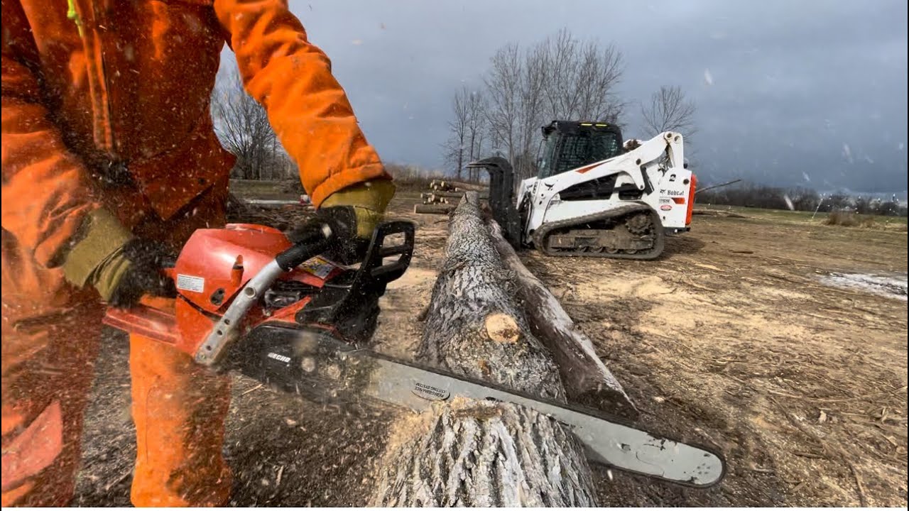 Kicking ASH with Big bob on the job! And ECHO 7310PW