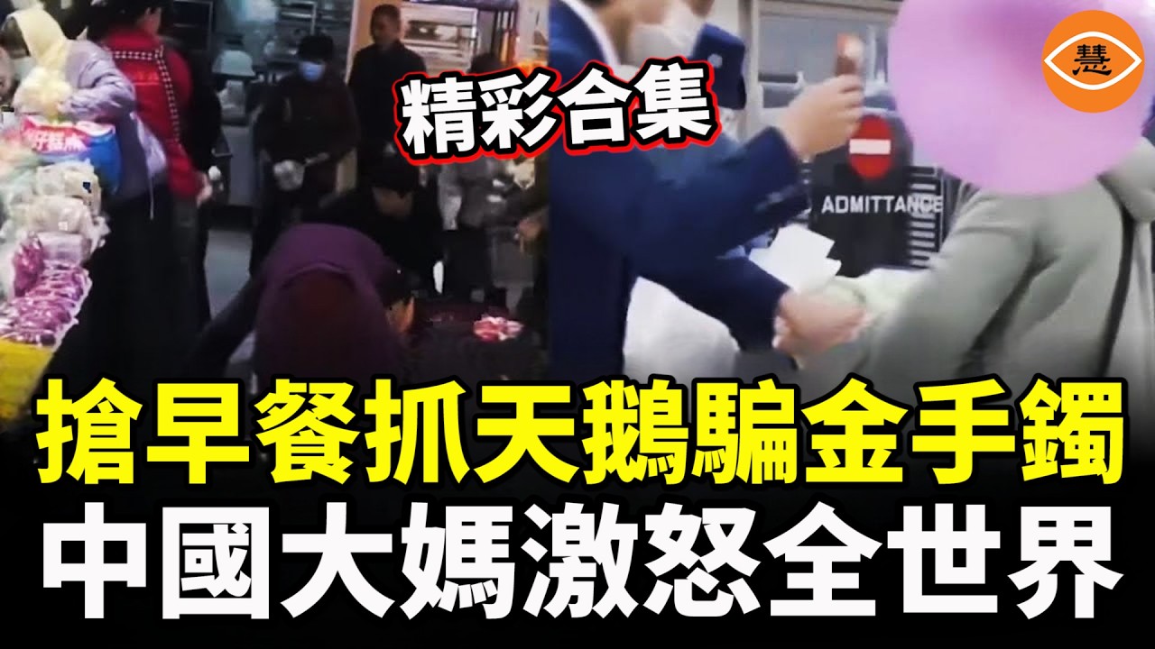 【精彩合集】太離譜了！中國大媽抓天鵝、搶早餐撒潑、騙男舞伴送百對金手鐲……全世界都看呆了……