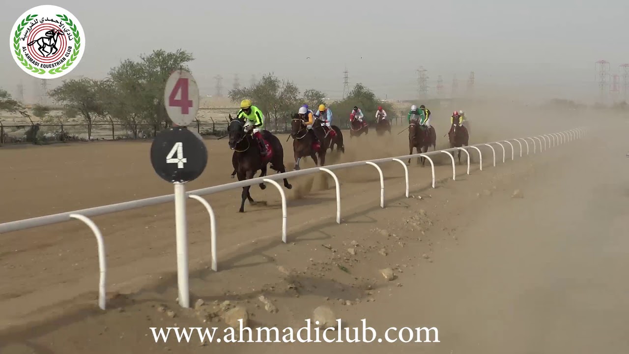 الشوط الاول الجواد علي مهلك الاجتماع التاسع