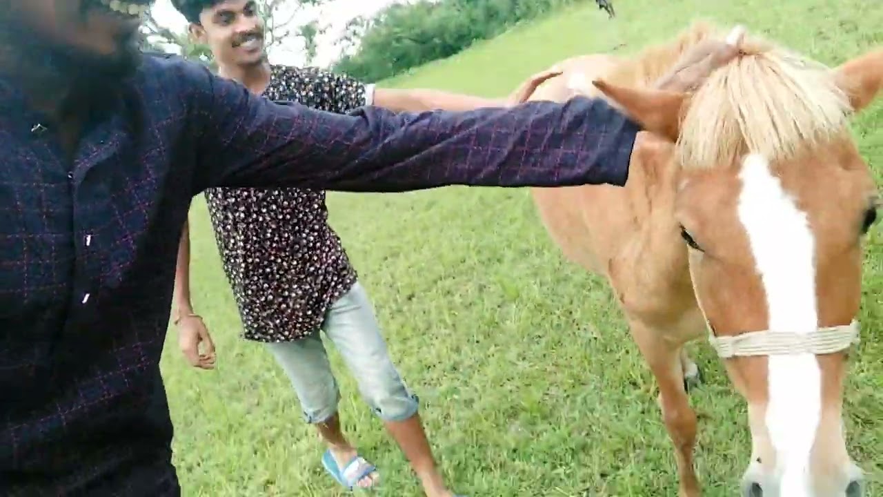 মানুষ শখ করে কত কিছুই করে দেখুন গাধা কিনছে গাধার পিঠে চড়ে ঘোরার জন্য 😍😍😍