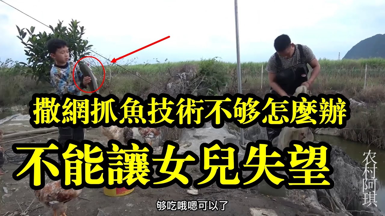 撒网抓鱼，技术不够，赶鱼来凑，连下几网收获七八斤鱼，总算没有让女儿失望【农村阿琪】
