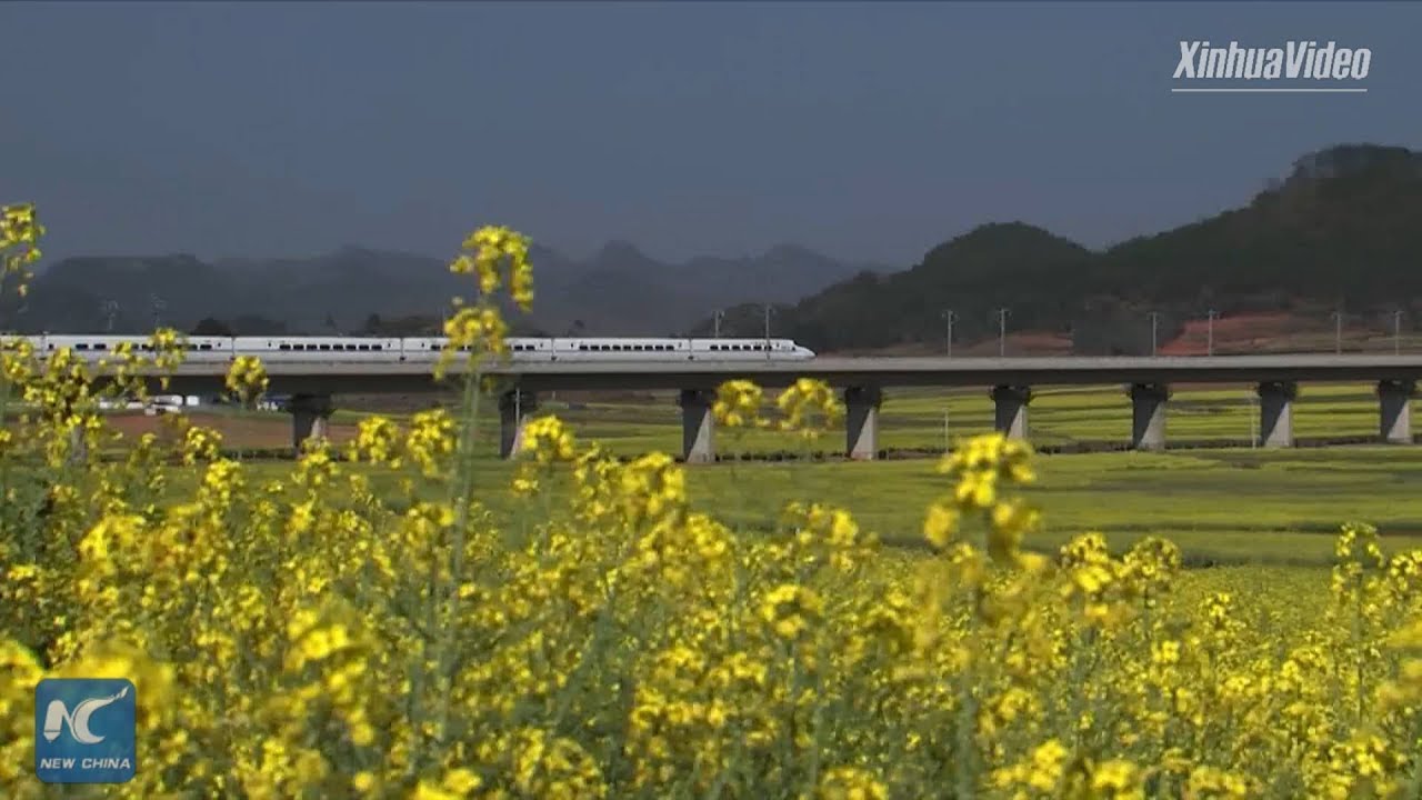 China's high-speed rail on fast track