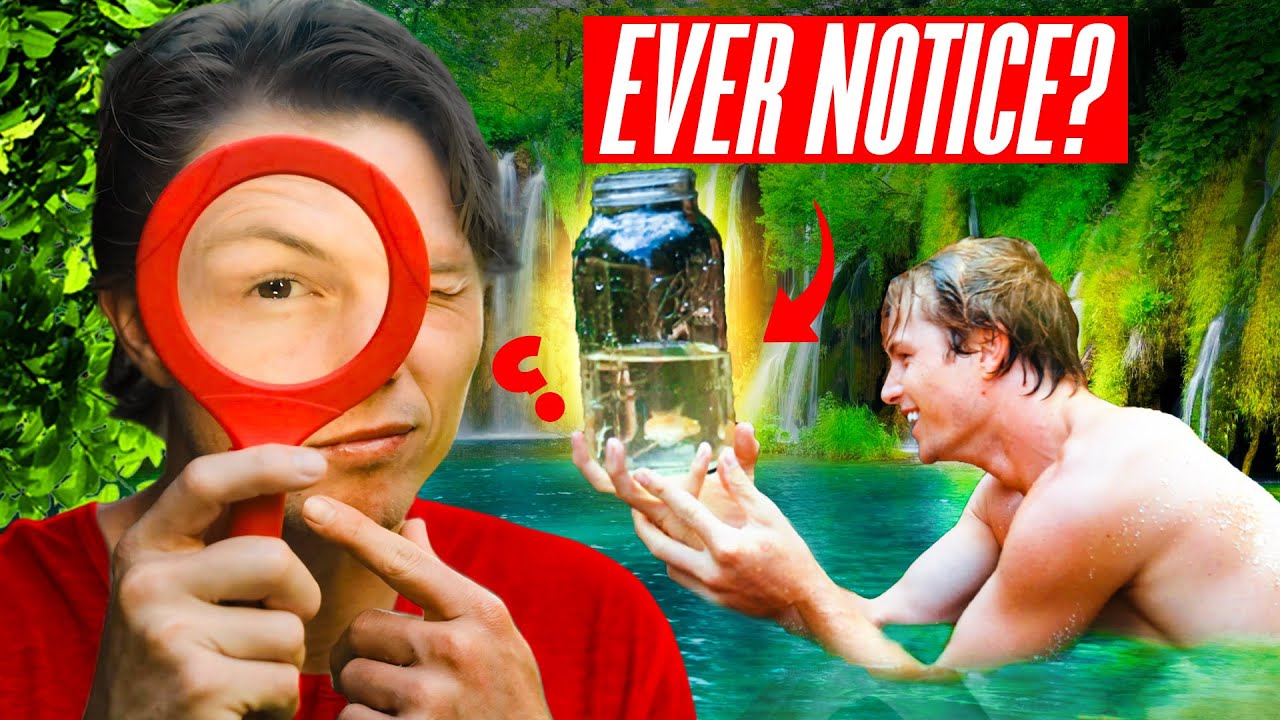 How do we See the World?