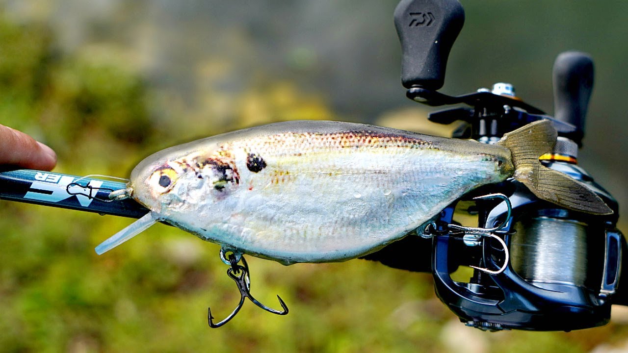 Making an ULTRA-REALISTIC Shad Jerkbait!!!