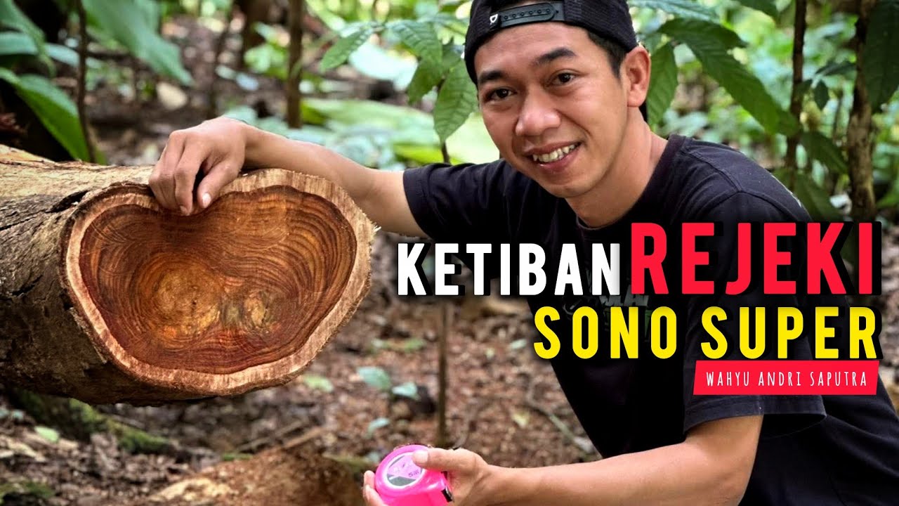 KETIBAN REJEKI SONO SUPER