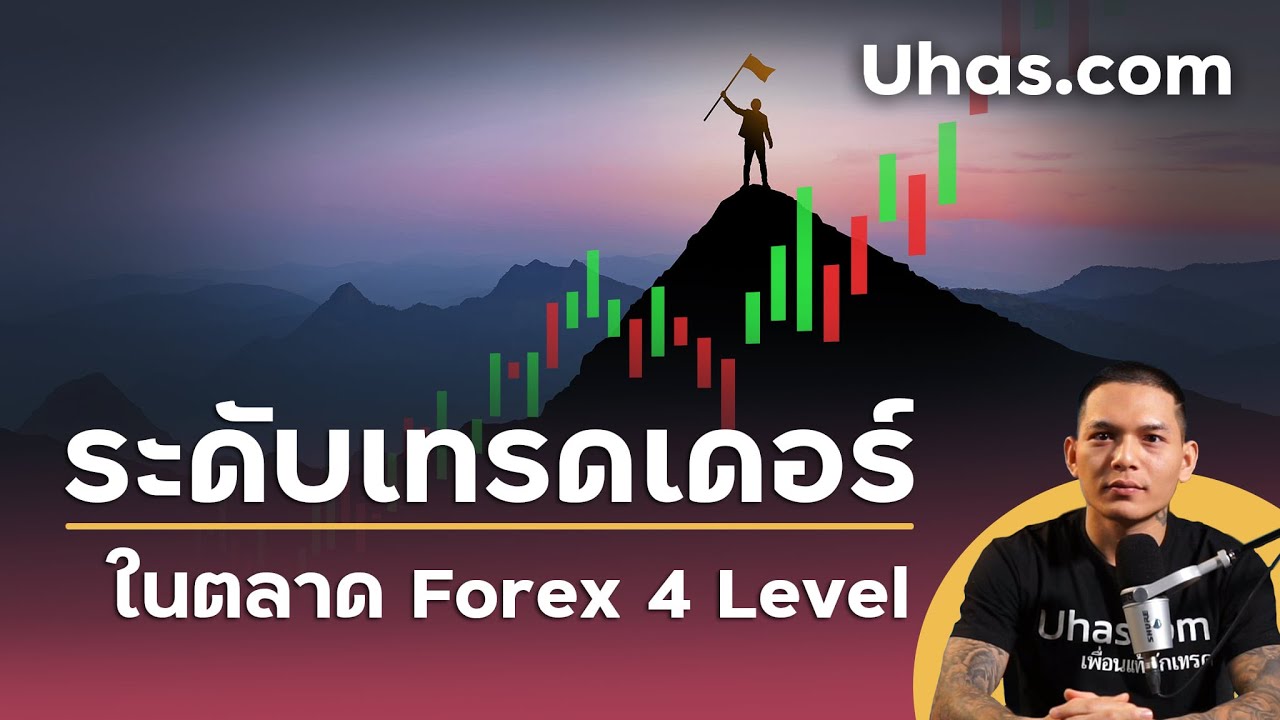 ระดับของเทรดเดอร์ Forex คุณอยู่ Level ไหนแล้ว