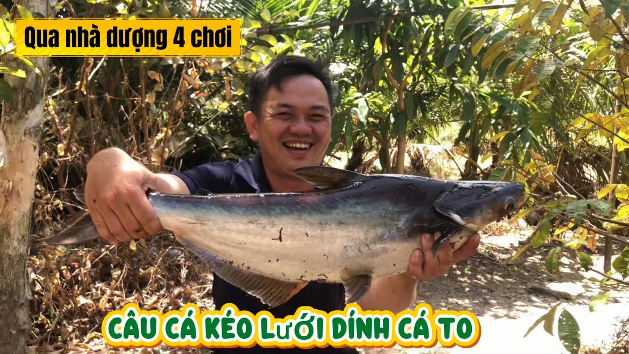 QUA NHÀ DƯỢNG 4 CÂU CÁ KÉO LƯỚI DÍNH CÁ TO