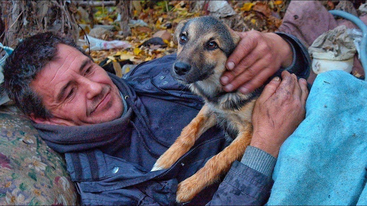 Homeless Man Asked Us to Take Care of his Puppy