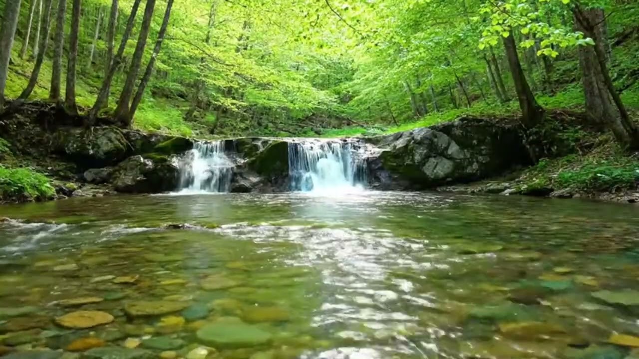 River Sounds - Peaceful Forest River - 3 Hours Long - HD 1080p - Nature Video
