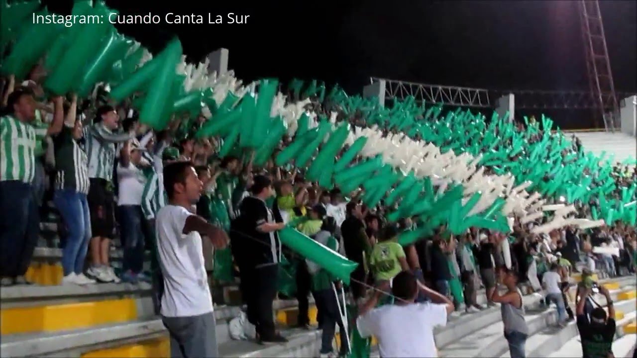 LOS DEL SUR Local en Ibague - tolima vs Atletico Nacional 2016