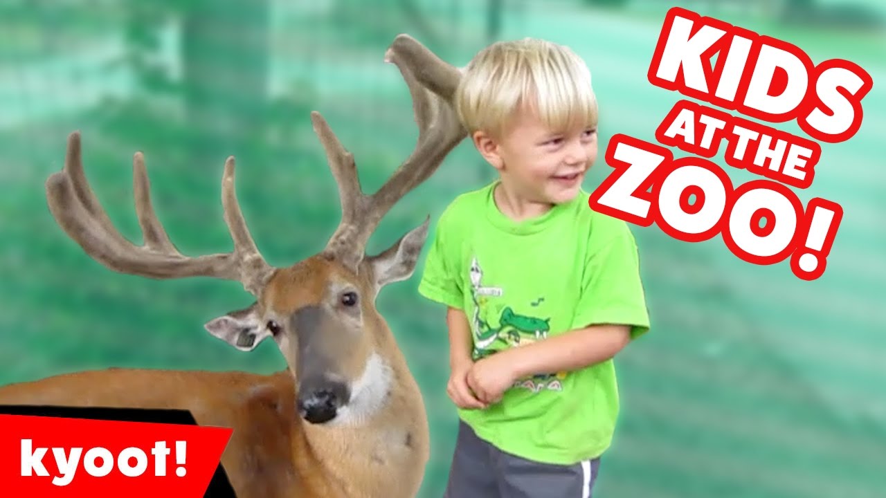 Funniest Kids at the Zoo Reactions, Bloopers & Moments Compilation of 2016 | Kyoot Animals