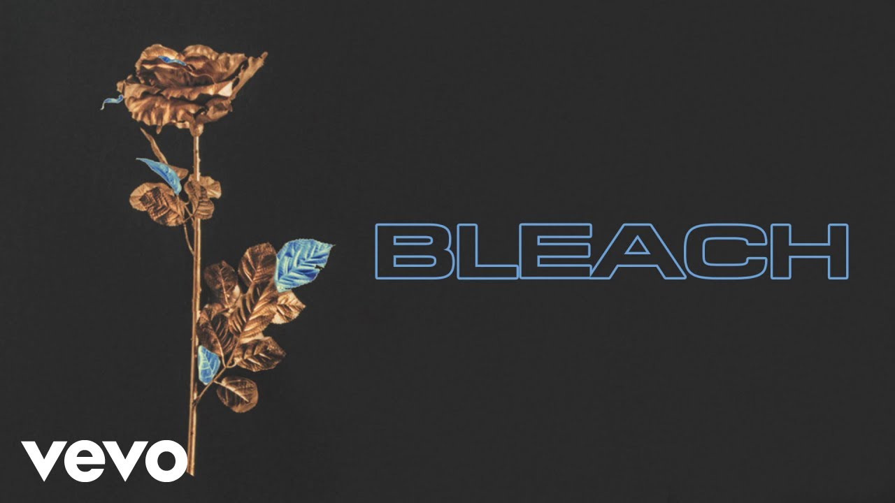 Ellie Goulding - Bleach (Visualiser)