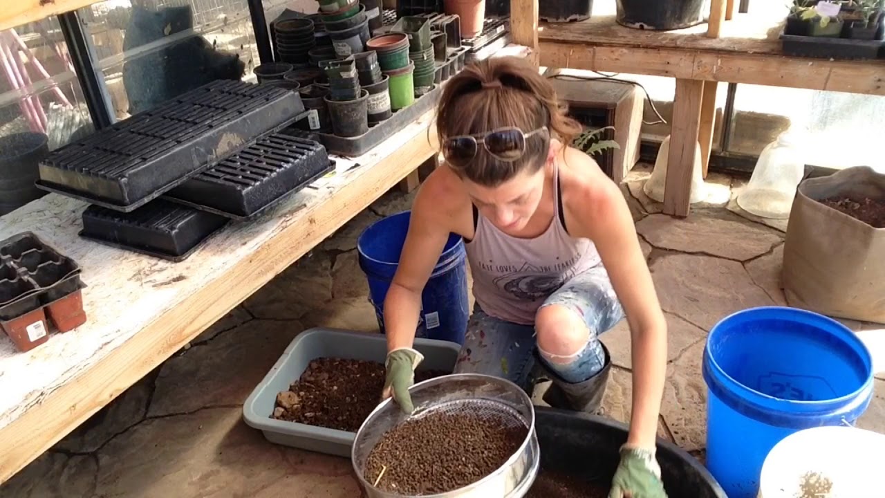 Screening Soil for Seed Starting