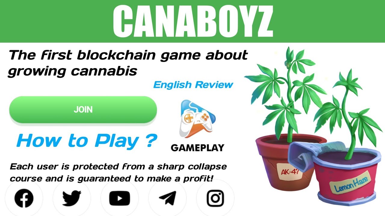 New Cana Boyz Token Full Review In English 2022 | How To Buy Cana Boyz Token | Best Gem Token 2022