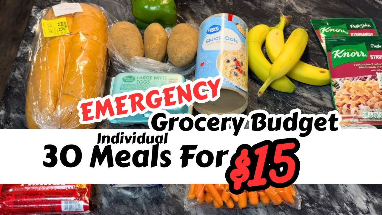 Emergency Grocery Budget || 30 Individual Meals For $15 || Making Ends Meet In 2025