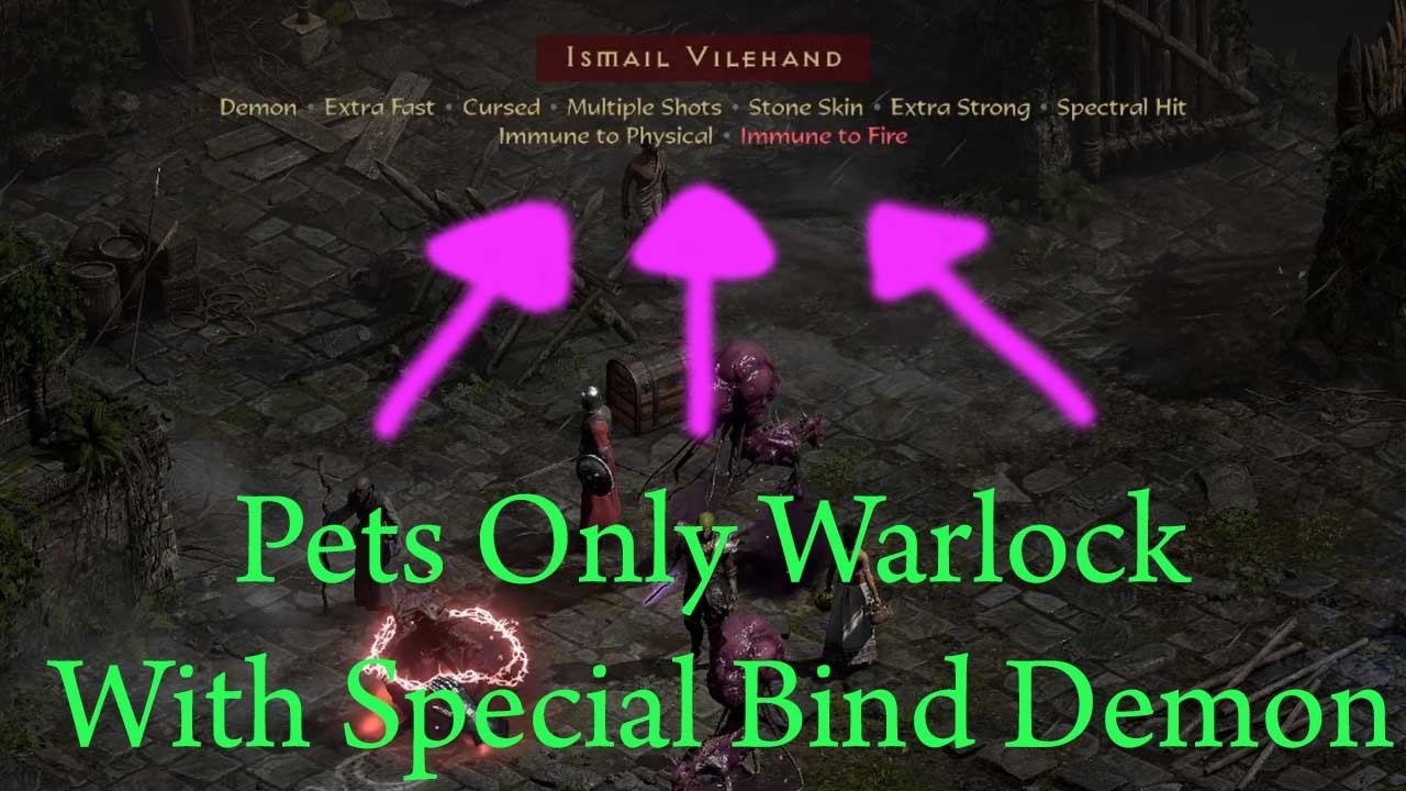 My PETS ONLY Warlock With My 